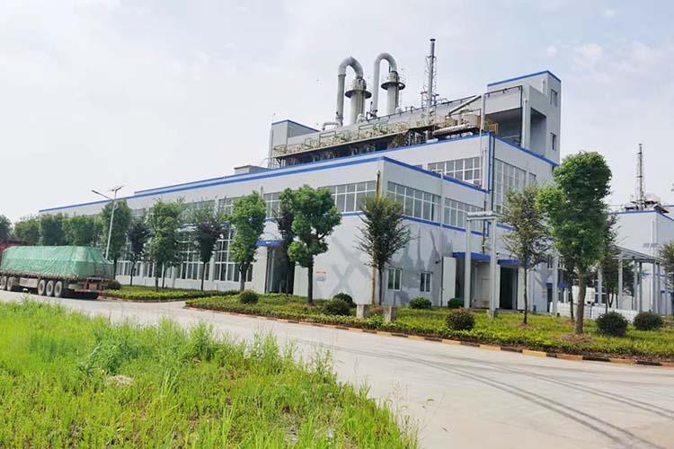 Hainan Jiadesen International Trade Co., Ltd